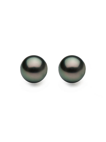 BORA BORA COLLECTION Pearl Stud Earrings on 14K White Gold Filled Posts - Avani Jewelry