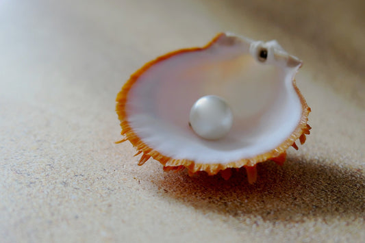 Know the Major Differences in the Pearls You Buy - Avani Jewelry