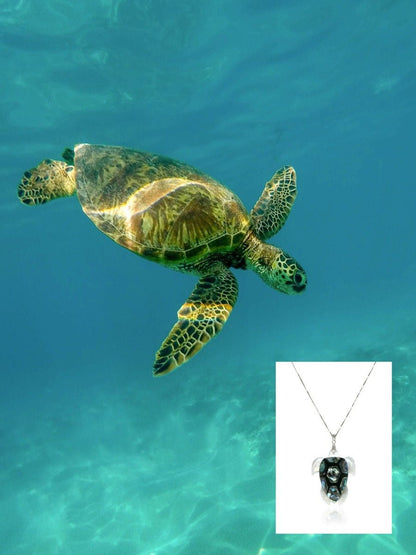 GALÁPAGOS COLLECTION Kuilima Turtle Mother-of-Pearl & Pāua Abalone Pendant - Avani Jewelry